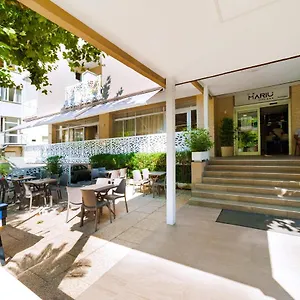 https://hotel-murano.riccione-hotels.org